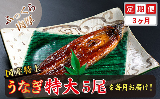 yւRzYIイȂ̂ΏĂ 250g × 5 × 3񂨓͂ i͂j䌧zOs150000ECYȂ