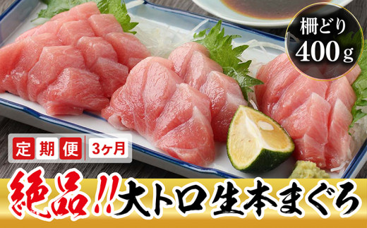【定期便3回】冷蔵でお届け!満足!生本マグロ 大トロ(柵どり) 400g × 3回お届け (毎月お届け)福井県越前市105000魚介・海産物鮮魚
