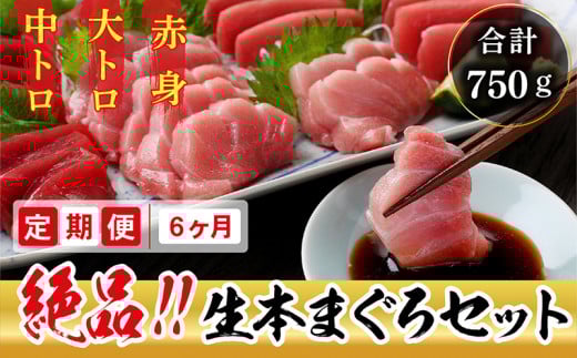 【定期便6回】冷蔵でお届け!人気の生本マグロ 堪能セット(柵どり) 計 750g × 6回お届け (毎月お届け)福井県越前市240000魚介・海産物鮮魚