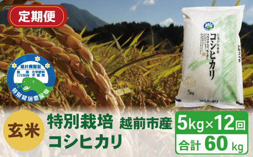 【定期便12回】(令和6年度新米 玄米)特別栽培 越前市産コシヒカリ 5kg×12回福井県越前市108000米・パン白米