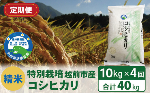 【定期便4回】(令和6年度新米 精米)特別栽培 越前市産コシヒカリ 10kg×4回福井県越前市76000米・パン白米