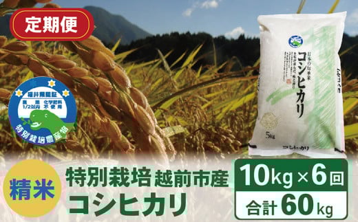 【定期便6回】(令和6年度新米 精米)特別栽培 越前市産コシヒカリ 10kg×6回福井県越前市114000米・パン白米