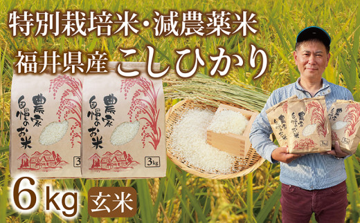 〈先行予約・新米〉減農薬米 こしひかり 6kg(3kg×2袋) /令和7年 福井県産 (玄米)2025年10月発送 人気品種 少量サイズ便利福井県越前市14000米・パン白米