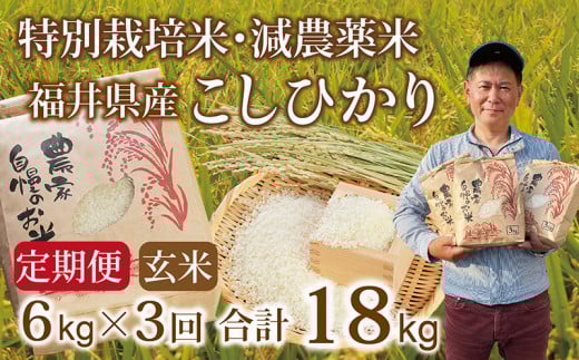 qs\EVāryւRz_ Ђ 6kg(3kg×2)^ߘa7N 䌧Y iājlCi@ʃTCY֗䌧zOs42000āEp