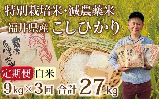 〈先行予約・新米〉【定期便3回】減農薬米 こしひかり 9kg(3kg×3袋) /令和7年 福井県産 (白米)2025年10月発送 人気品種 少量サイズ便利福井県越前市57000米・パン白米