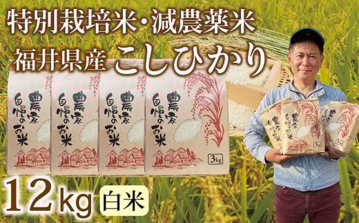 〈先行予約・新米〉減農薬米 こしひかり 12kg(3kg×4袋)/令和7年 福井県産 (白米)2025年10月発送 人気品種 少量サイズ便利福井県越前市25000米・パン白米