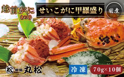 ys\zzOɁiXj b(70g×10jⓀ vg䌧zOs53000ECYJj