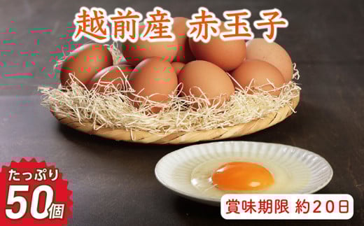 【お届け日指定可】越前産 赤玉子 50個(45個+割れ補償5個入り) 【冷蔵・卵】福井県越前市10000卵・乳製品卵(鶏、烏骨鶏等)