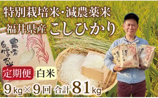 〈先行予約・新米〉【定期便9回】減農薬米 こしひかり 9kg(3kg×3袋) /令和7年福井県産 (白米)2025年10月発送 人気品種 少量サイズ便利福井県越前市171000米・パン白米