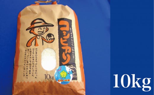 こしひかり 白米 ピロール健康米 10kg(福井県越前市産)福井県越前市36000米・パン白米