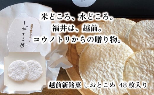 越前新銘菓 しおとこめ 48枚入り福井県越前市21000菓子・スイーツ煎餅・おかき