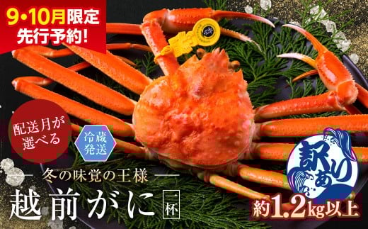 【2026年1月発送・月指定可】【先行予約 9月10月限定】越前がに(オス)「ずわいがに」特特大サイズ(1.2kg以上) 訳あり 1杯福井県越前市48000魚介・海産物カニ