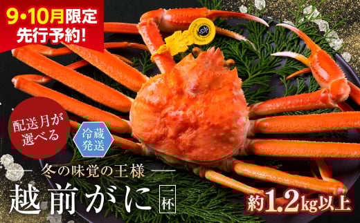 【年内発送・指定日着可】【先行予約 9月10月限定】越前がに(オス)「ずわいがに」特特大サイズ(1.2kg以上) 1杯福井県越前市84000魚介・海産物カニ