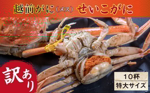 【冷蔵発送】【先行予約 9月10月限定】越前がに(メス)「せいこがに」 特大サイズ  訳あり 220g前後 × 10杯福井県越前市112000魚介・海産物カニ