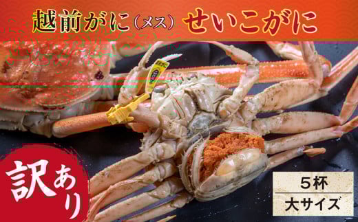 【冷蔵発送】【先行予約 9月10月限定】越前がに(メス)「せいこがに」訳あり  大サイズ 180g前後 ×  5杯福井県越前市39000魚介・海産物カニ