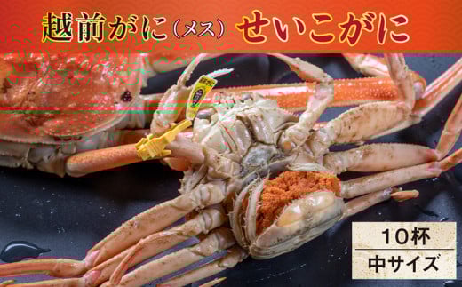 【冷蔵発送】【先行予約 9月10月限定】越前がに(メス)「せいこがに」150g前後 × 10杯福井県越前市71000魚介・海産物カニ