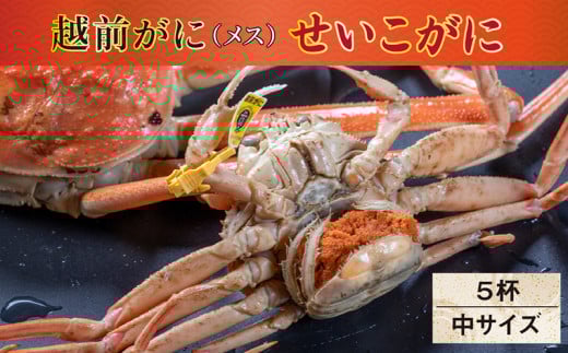 y①zys\ 910zzOɁiXjuɁv150gO × 5t䌧zOs36000ECYJj