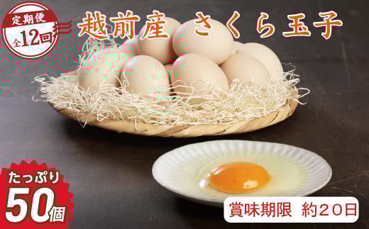 【定期便12回】越前産 さくら玉子 50個(45個+割れ補償5個入り)【冷蔵・卵】(お届け日指定可)福井県越前市120000卵・乳製品卵(鶏、烏骨鶏等)