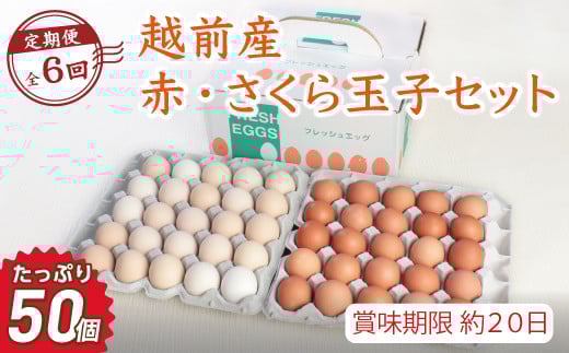 【定期便6回】越前産赤玉子・さくら玉子セット50個入り(45個+割れ補償5個入り)【冷蔵・卵】(お届け日指定可)福井県越前市60000卵・乳製品卵(鶏、烏骨鶏等)