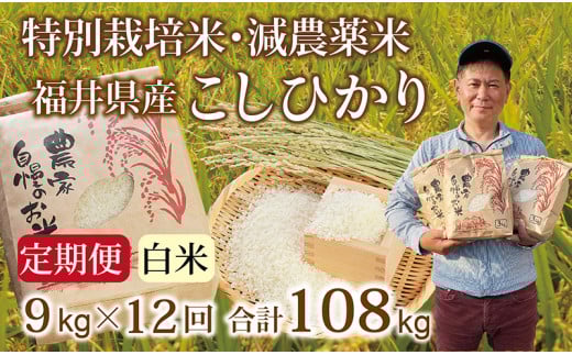 〈先行予約・新米〉【定期便12回】減農薬米 こしひかり 9kg(3kg×3袋) /令和7年福井県産 (白米)2025年10月発送 人気品種 少量サイズ便利福井県越前市228000米・パン白米