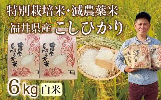 〈先行予約・新米〉減農薬米 こしひかり  6kg(3kg×2袋)/令和7年 福井県産 (白米)2025年11月発送 人気品種 少量サイズ便利福井県越前市14000米・パン白米
