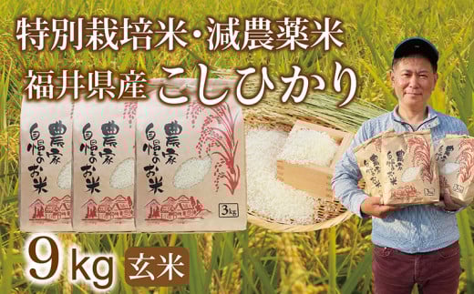 qs\EVār_ Ђ 9kg(3kg×3)^ߘa7N 䌧Y iāj2025N12  lCi ʃTCY֗䌧zOs19000āEp