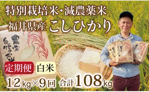 〈先行予約・新米〉【定期便9回】減農薬米 こしひかり 12kg(3kg×4袋) /令和7年 福井県産 (白米)2025年10月発送 人気品種 少量サイズ便利福井県越前市225000米・パン白米