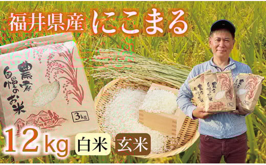 〈先行予約・新米〉にこまる 12kg(3kg×4袋) /令和7年 福井県産 (玄米)2025年12月発送 少量サイズ便利福井県越前市25000米・パン白米