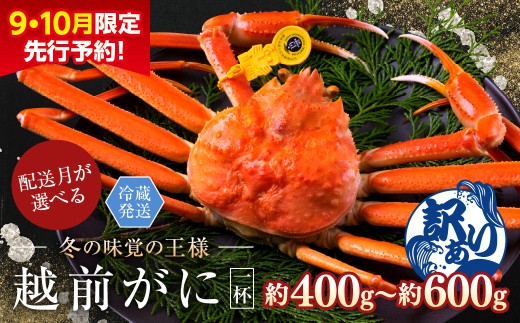 【2026年2月発送・月指定可】【先行予約 9月10月限定】越前がに(オス)「ずわいがに」(400g〜600g) 訳あり 1杯福井県越前市20000魚介・海産物カニ