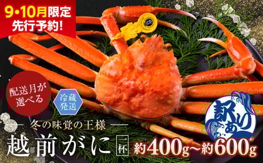 y2026N3Ewzys\ 910zzOɁiIXju킢Ɂvi400g`600gj 󂠂 1t䌧zOs20000ECYJj