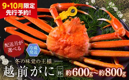 【2025年2月発送・月指定可】【先行予約 9月10月限定】越前がに(オス)「ずわいがに」中サイズ(600g〜800g) 1杯福井県越前市52000魚介・海産物カニ