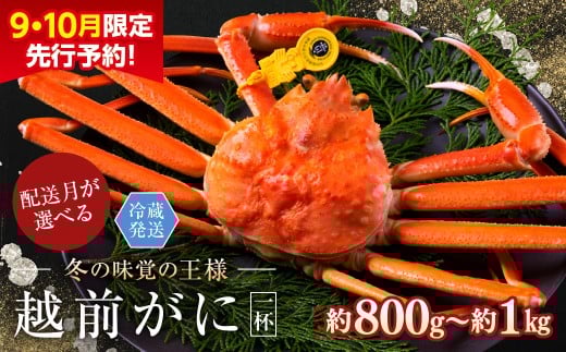 y2026N3Ewzys\ 910zzOɁiIXju킢Ɂv TCYi800g-1kgj 1t䌧zOs64000ECYJj