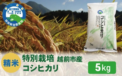 【令和7年度 新米・精米】特別栽培 越前市産コシヒカリ 5kg福井県越前市16000米・パン白米