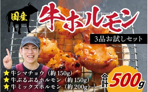 Yz3i Zbg 500g ē  t  BBQ o[xL[  z Y  ܂ Ⓚ AEghA i lC  [B-019001]䌧i10000
