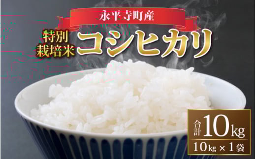 【先行予約】【白米】令和7年度産 永平寺町産 農薬不使用・化学肥料不使用 特別栽培米コシヒカリ 10kg【10月上旬より順次発送開始予定】10キロ 10kg 米  米 お米 コメ  こしひかり 福井 [C-03