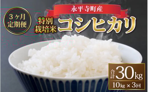 ys\zy3A͂zyāzߘa7NxY iY _sgpEw엿sgp ʍ͔| RVqJ 10kg×3iv30kgjy10{菇Jn\zPOL 10kg