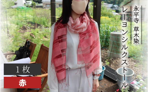 i ؐ [VN Xg[iԁj[B-003002_02]䌧i15000ߗށEiEH|ȋ iEH|i