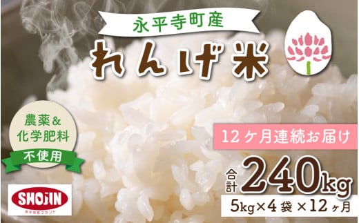 y12A͂z_sgpEw엿sgp iY 񂰕 20kg×12iv240kgj[N-002023]䌧i480000āEp