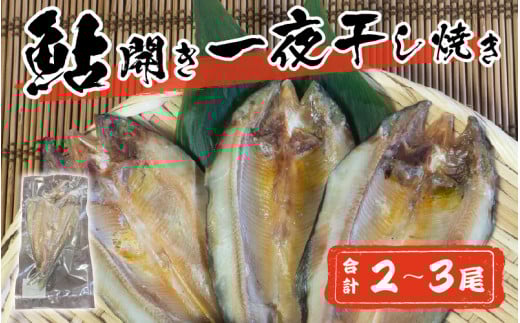 ȐHŕ10.22 J銱Ă 2`3 @[A-016007]䌧i5000ECYN