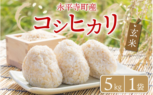 yāz ߘa5NxY iY RVqJ 5kg  [A-033066]䌧i8000āEpāEGāEāE