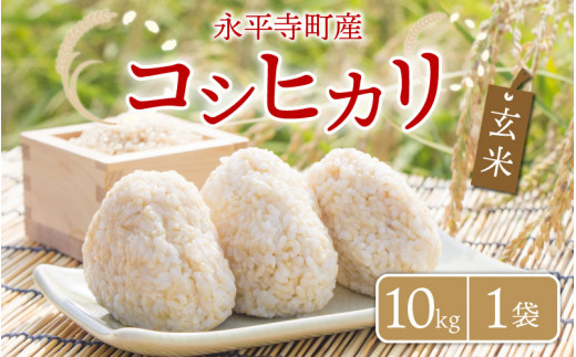 yāz ߘa5NxY iY RVqJ 10kg  [B-033054]䌧i16000āEpāEGāEāE
