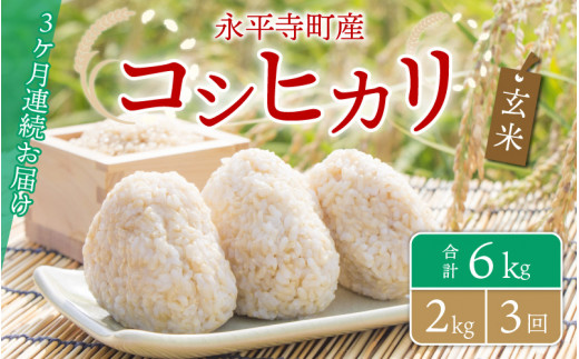 y3A͂zyāz ߘa5NxY iY RVqJ 2kg×3iv6kgj [B-033055]䌧i12000āEpāEGāEāE