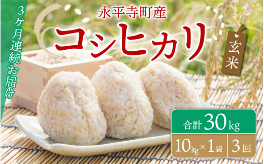 y3A͂zyāz ߘa5NxY iY RVqJ 10kg×3iv30kgj  [E-033053]䌧i48000āEpāEGāEāE