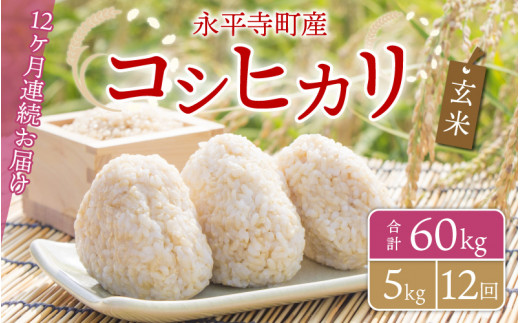 y12A͂zyāz ߘa5NxY iY RVqJ 5kg×12iv60kgj  [J-033083]䌧i96000āEpāEGāEāE