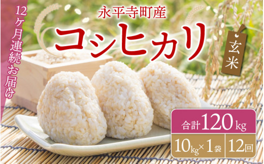 y12A͂zyāz ߘa5NxY iY RVqJ 10kg×12iv120kgj [K-033084]䌧i192000āEpāEGāEāE