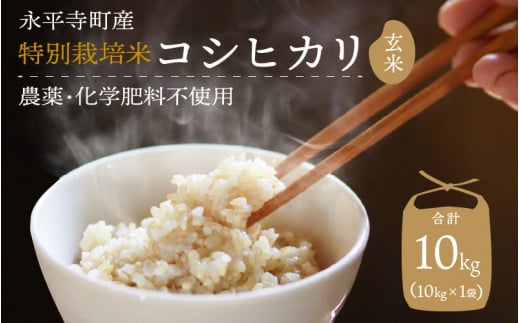 【先行予約】【玄米】 令和7年度産 永平寺町産 農薬不使用・化学肥料不使用 特別栽培米 コシヒカリ 10kg【10月上旬より順次発送開始予定】10キロ 10kg 米  米 お米 コメ  こしひかり 福井  [C