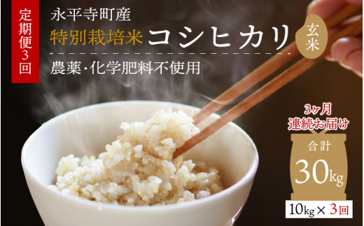 【先行予約】【3ヶ月定期便】【玄米】 令和7年度産 永平寺町産 農薬不使用・化学肥料不使用 特別栽培米 コシヒカリ 10kg×3ヶ月(計30kg)【10月上旬より順次発送開始予定】10キロ 10kg 米