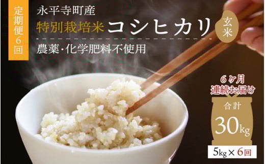 【先行予約】【6ヶ月定期便】【玄米】 令和7年度産 永平寺町産 農薬不使用・化学肥料不使用 特別栽培米 コシヒカリ 5kg×6ヶ月(計30kg)【10月上旬より順次発送開始予定】5キロ 5kg 米  米