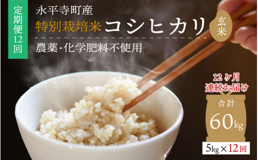 y12A͂zyāz ߘa5NxY iY _sgpEw엿sgp ʍ͔| RVqJ 5kg×12iv60kgj  [K-033088]䌧i156000āEpāEGāE