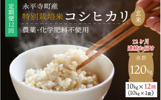 y12A͂zyāz ߘa5NxY iY _sgpEw엿sgp ʍ͔| RVqJ 10kg×12iv120kgj  [M-033085]䌧i312000āEpāEGāE